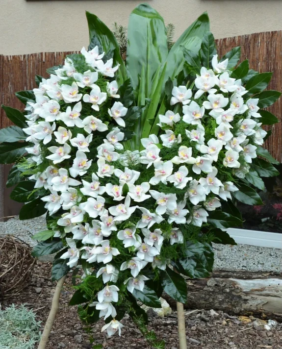 Wieniec pogrzebowy w kształcie serca z białych storczyków cymbidium